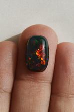 Opaal Zwart vuur Multicolor - 3,5Ct - Lightning Ridge- 0.7 g, Collections