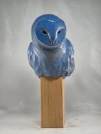 Federico Alibrio - Blue Barn owl