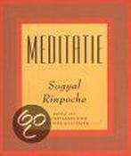 Meditatie 9789021596723, Boeken, Gelezen, Sogyal Rinpoche, Verzenden