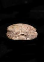 Égypte ancienne, Nouvel Empire Stéatite Scarabée avec la
