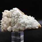 ENORME CELESTINA kleur ijskleur op gele zwavel, Sicilië