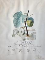 Salvador Dali (1904-1989) - Flordali. Homme figuier, Antiek en Kunst