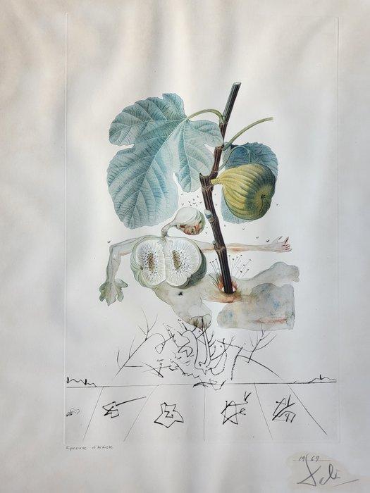 Salvador Dali (1904-1989) - Flordali. Homme figuier, Antiek en Kunst, Antiek | Overige Antiek