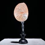Decoratief ornament (2) - NO RESERVE PRICE - Wonderful Pair