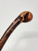 Wandelstok - Hout, Antiek en Kunst