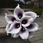 Calla Real Touch Plum Center 7 cm 37 cm lang per stuk, Huis en Inrichting, Nieuw