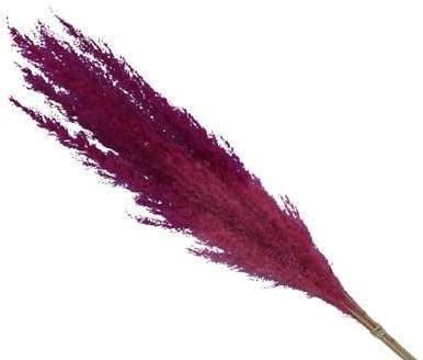 Pampasgras Two Tone Pink 75 cm 5 stuks, Huis en Inrichting, Woonaccessoires | Kunstplanten en Kunstbloemen, Nieuw