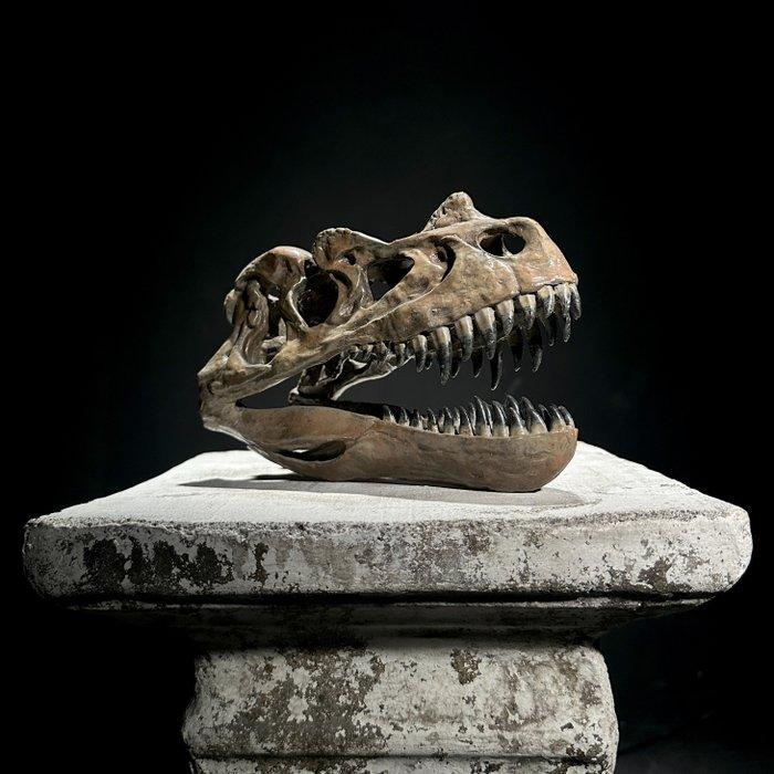 Geen veilingminimum - Een replica van een dinosaurusschedel, Antiek en Kunst, Curiosa en Brocante