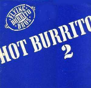 The Flying Burrito Bros - Hot Burrito 2, CD & DVD, Vinyles | Rock