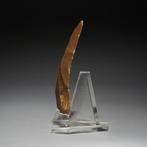 Oud-Egyptisch Vuursteen Bijl - mes. 6,6 cm hoog. Neolithisch