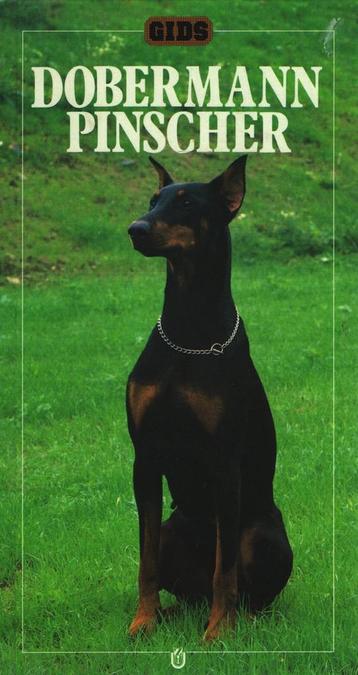 Dobermann Pinscher / Gids 9789051120905 J. Richardson, Verzenden, J. Richardson