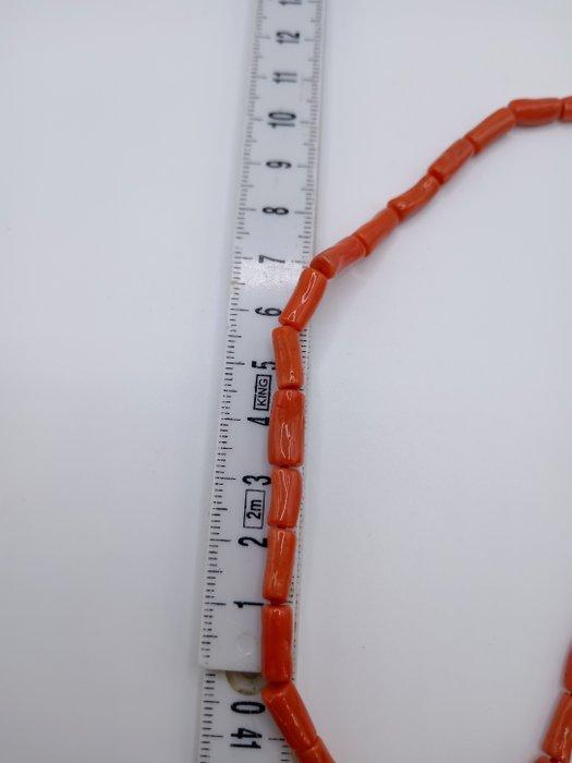 Bloedkoraal Koraal - Corallium rubrum (Zonder Minimumprijs), Verzamelen, Mineralen en Fossielen