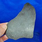 Alleen 1700 g in de wereld. NIEUW!!! NWA 16666. Chondriet L5