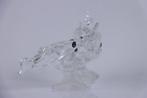 Swarovski - Figure - Swarovski - Tropische Vissen (Unboxed)
