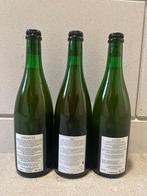 Cantillon - Ashanti 2025, Nath 2025 & Cuvée Saint-Gilloise, Nieuw