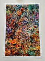 Viet Ha Tran - Wall of Nature LV