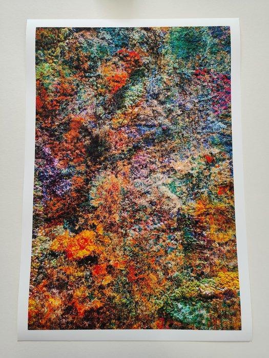 Viet Ha Tran - Wall of Nature LV, Antiek en Kunst, Kunst | Designobjecten