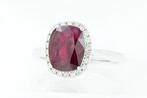 Zonder minimumprijs - Ring Platina - 3.24ct. tw. Robijn -, Nieuw