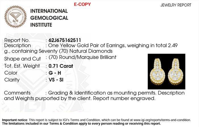 Oorbellen - 18 karaat Geel goud - 0.71ct. tw. - Diamant, Handtassen en Accessoires, Oorbellen