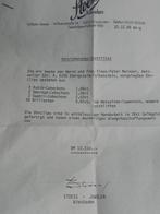 Oorbellen - 18 karaat Geel goud Robijn, Bijoux, Sacs & Beauté, Boucles d'oreilles