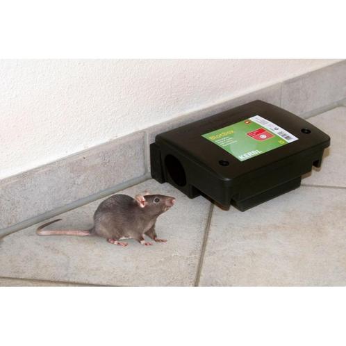 Lokdoos blocbox beta - 22,5x18,5x9,5cm, tegen ratten - kerbl, Diensten en Vakmensen, Ongediertebestrijding