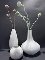 Rosenthal - Martin Freyer - Vaas (3) - Plissée - Biscuit