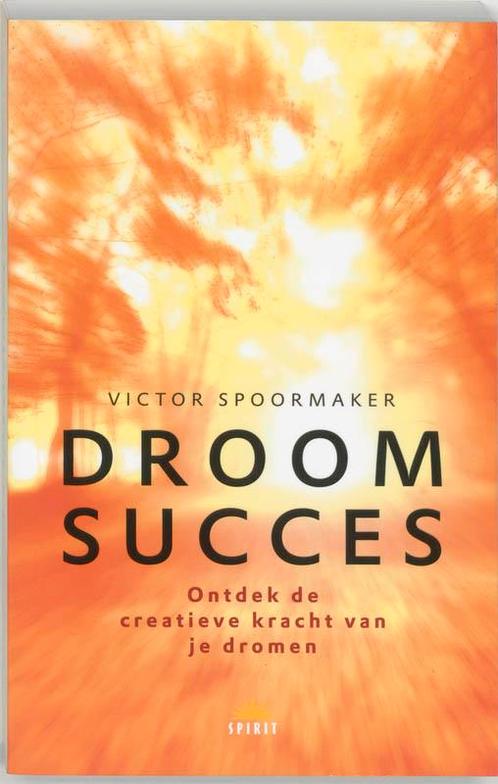 Droomsucces 9789021581620 V. Spoormaker, Boeken, Psychologie, Zo goed als nieuw, Verzenden