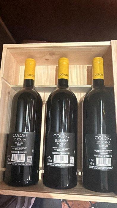 2022 Bibi Graetz Colore - Toscane IGT - 3 Bouteilles (0,75, Collections, Vins