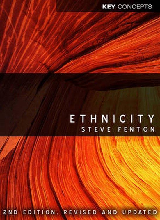 Ethnicity 9780745642666 Steve Fenton, Boeken, Taal | Engels, Gelezen, Verzenden