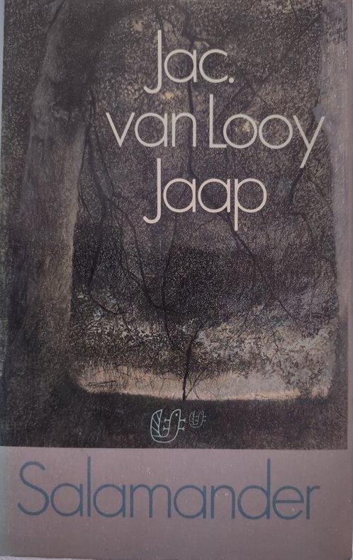 Jaap - Jac. Van Looy 9789021495637, Livres, Romans, Envoi