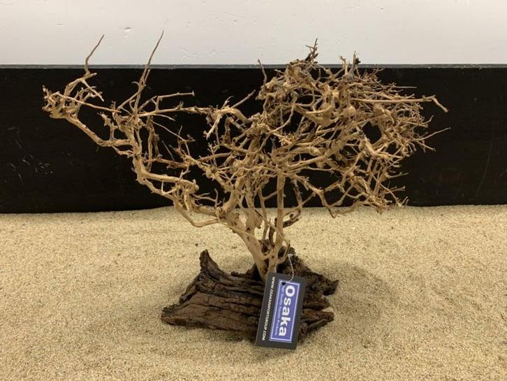 Osaka Bonsai Tree nr 23 - 35x16x37cm - aquascaping boom, Dieren en Toebehoren, Vissen | Aquaria en Toebehoren, Plant(en), Steen of Hout