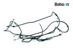 Remleiding Set Triumph Tiger 800  (VIN: <674841), Verzenden, Gebruikt