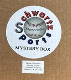 World Champion - Signed Boxing Glove Mystery Box - Series 17, Nieuw