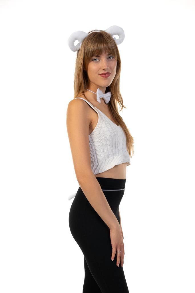 Schaap Haarband Oren Strik Staart Diadeem Set Wit Hoorns Zac, Vêtements | Femmes, Costumes de carnaval & Vêtements de fête, Enlèvement ou Envoi