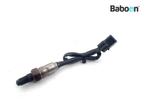 Lambda Sonde Triumph Street Twin 900 2019->, Motoren, Verzenden, Gebruikt