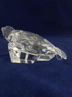 Beeldje, Swarovski - Robben - SCS jaaritem 1991 - 158872 -
