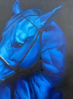 Alejandro Carballosa - Interior