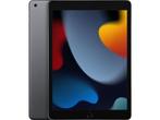 Veiling - Apple iPad (2021) 10.2 inch - WiFi 256GB - Zilver, Computers en Software, Nieuw