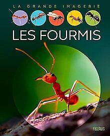 Les fourmis  Fleurus  Book, Livres, Livres Autre, Envoi