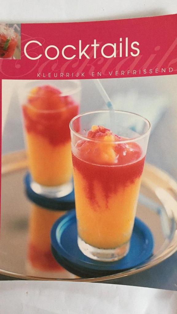MINIKOOKBOEKJES COCKTAILS 9789058437754, Boeken, Kookboeken, Gelezen, Verzenden