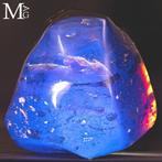 AMBRA SUMATRA Fossiele barnsteenmonster uit Sumatra -, Verzamelen