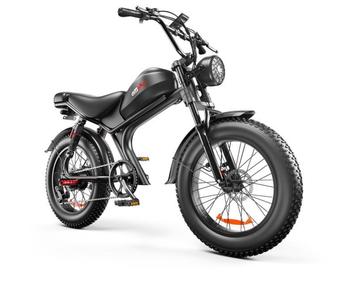 C93 Fatbike E-bike 1000 watt motorvermogen 50 km/u snelheid