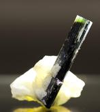 Tourmaline verte à cap unique dans le feldspath • 33,65 ct •, Collections