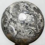 Shell steen Fijn kwaliteit schelpkalk bal - Hoogte: 9.3 cm -