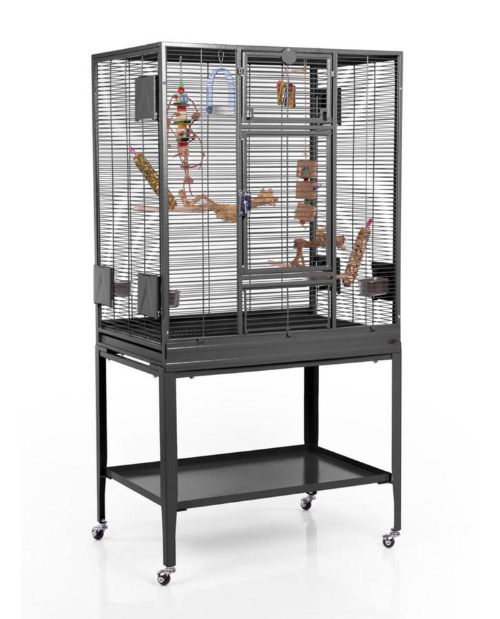 Vogelkooi Montana Madeira Single Antiek - In stock!, Dieren en Toebehoren, Vogels | Hokken en Kooien, Vogelkooi, Nieuw, Metaal
