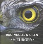 Roofvogels & uilen in Europa 9789036630870 Jaap Schelvis, Boeken, Verzenden, Zo goed als nieuw, Jaap Schelvis