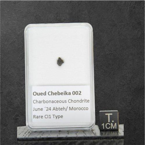 Oued Chebeika 002 - Météorite SUPER RARE chondrite carbonée, Verzamelen, Mineralen en Fossielen