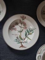 Villeroy & Boch - Eetservies (10) - Botanica -, Antiek en Kunst