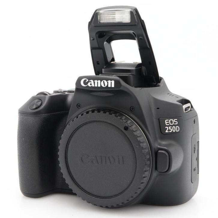 Canon EOS 250D body | Tweedehands, Audio, Tv en Foto, Fotocamera's Digitaal, Zo goed als nieuw, Canon, Verzenden