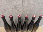 Aigner Grüner Veltliner Elitär - Kremstal - 6 Bouteilles, Nieuw